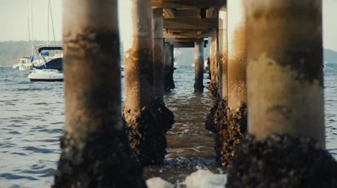 Under the bridge Vídeos de archivo 42486427