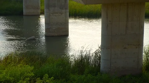 Under the bridge Stock Footage 93346273
