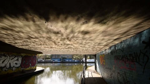 Under the bridge Stock Footage 119806980