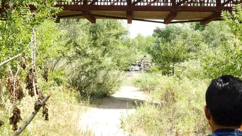 Under The Bridge Stock Footage 123452548