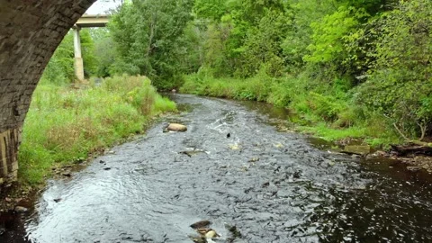 Under the bridge Stock Footage 149894507