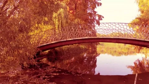 Under bridge Stock Footage 163377064