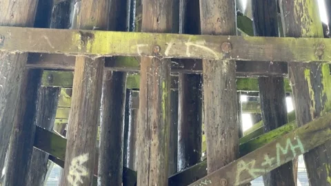 Under the Bridge Stock Footage 172041465