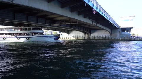 Under the Bridge: Maritime Vessel Passing Through Video stock 247899644