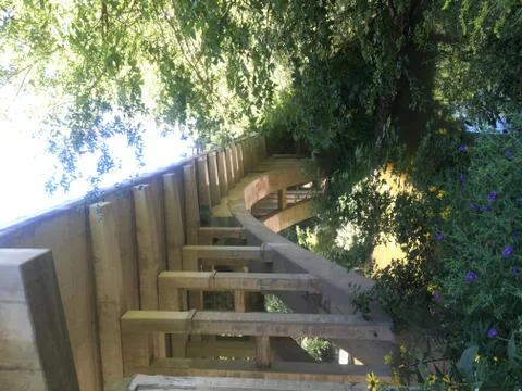 Under the Bridge Stock Photos