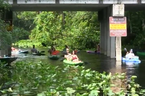 Under the bridge on the wekiva river Stock Footage 153478293