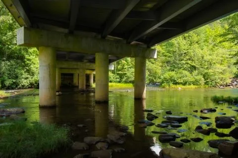 Under the Bridge in the Woods Stock Photos