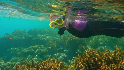 Under bright sunlight, wetsuit-clad woman swims on surface over dense brown Stock Footage 329101552