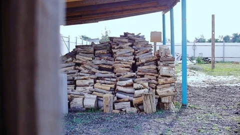 Under the canopy there are firewood. Stock Footage 77689057