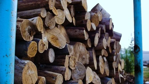 Under the canopy there are firewood. Stock Footage 77690320