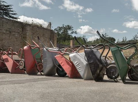 Under a clear sky, a vibrant row of wheelbarrows rests in quiet repose, cap.. Stock Photos