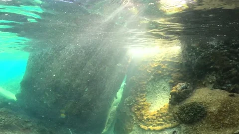 Under the clear water at the island Stock Footage 201992233