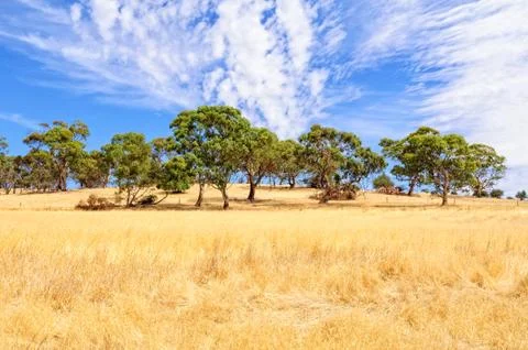 Under the clouds - Mintaro Stock Photos