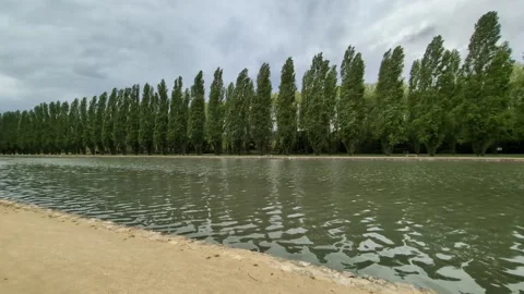 Under a cloudy sky the trees are reflected in the water. Stock Footage 303939500