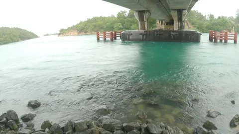 Under The Connecting Bride Stock Footage 241135296