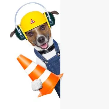 Under construction dog Stock Photos