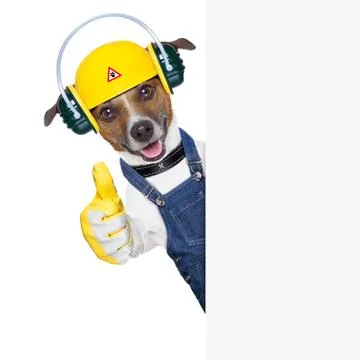 Under construction dog Fotos Stock