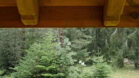 Under the Dry Eaves on a Rainy Day 1 Stock-Footage 221045170