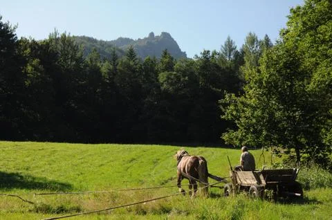 Under the hill... Stock Photos