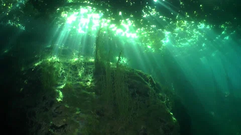 Under the lake floor bed with bright sunbeams light Stock-Footage 36558475