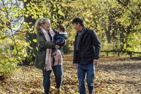 Under the Leafy Trees Stockfoto's