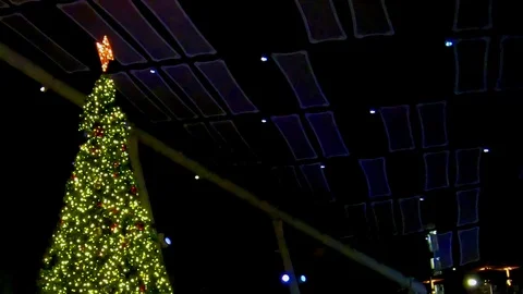 Under the main canopy the beautiful Christmas Tree at The Domain Outdoor Stock Footage 100016771