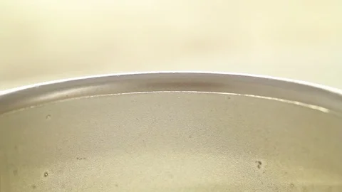 Under the microscope Stock Footage 98679835