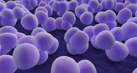 Under the microscope, staphylococcus Illustrazione stock