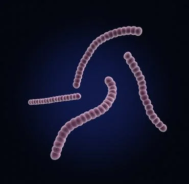 Under the microscope, streptococcus Stock Illustration