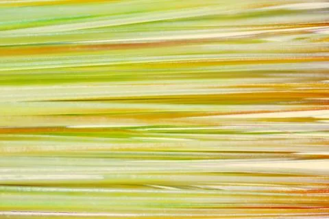 Under the microscope topknot Stock Photos