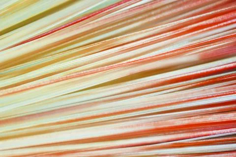 Under the microscope topknot 스톡 사진