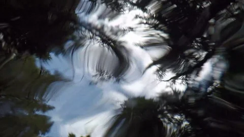 Under a moving stream in a forest Stock Footage 88379744