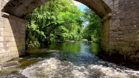 Under New Bridge on the River Dart Video stock 336719950