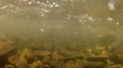 Under a North Carolina Stream 库存影片 26492409