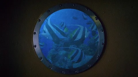 Under ocean view Stock Footage 253394603