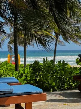 Under palm trees Foto stock