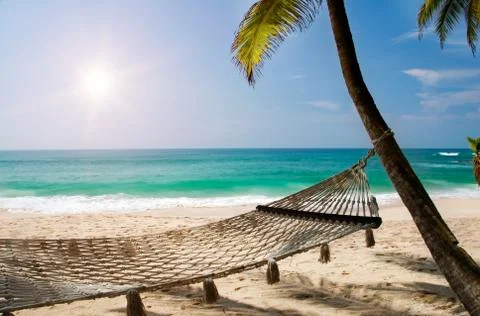 Under the palms Foto stock