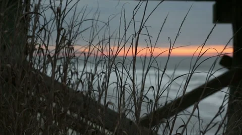Under the pier at dawn Stock Footage 49229811