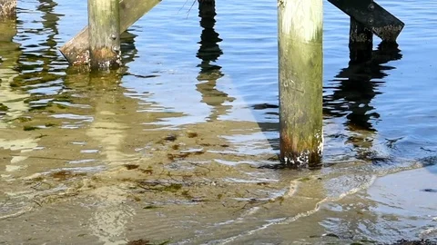 Under a pier Stock Footage 90246011