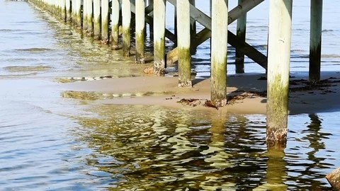 Under a pier Stock Footage 90246013