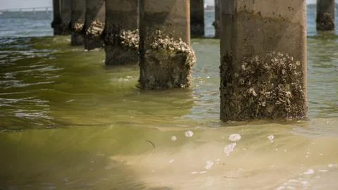 Under a pier Stock Photos