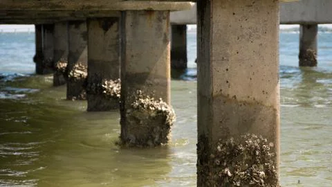 Under a pier Foto stock