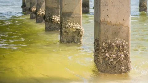 Under a pier Stock-Fotos