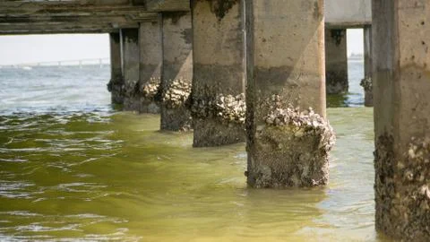 Under a pier Stock Photos