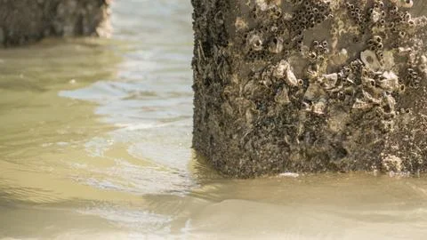 Under a pier Stock Photos