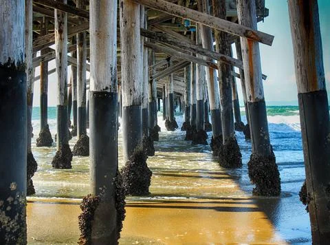 Under the Pier Stock-Fotos