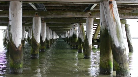 Under the pier of Sopot 스톡 동영상 105022101