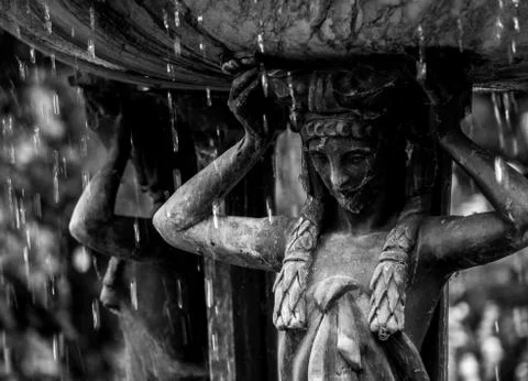 Under the rain Stock Photos