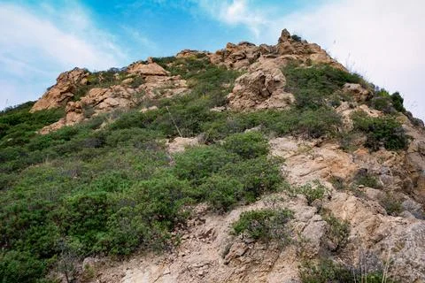 Under the rock Photos