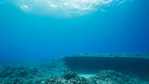 Under the sea Stock Footage 105439842